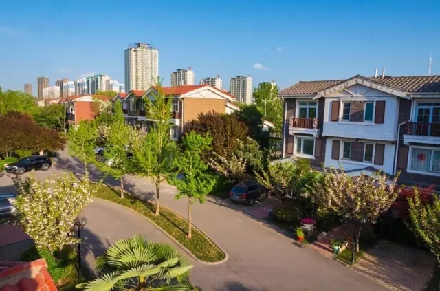 纸杯蛋糕 | 繁花五月，，，，，，唯爱绵绵