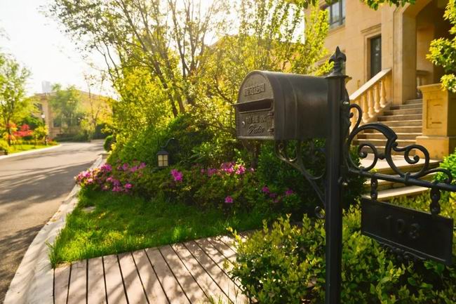 5月的国宝，，，享受初夏的惬意时光